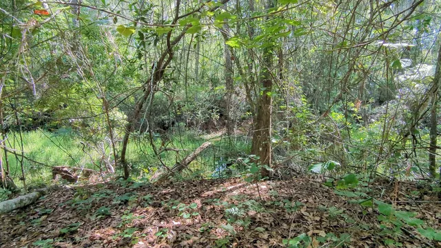 $33,000 | 104 Flora Terrace, Florahome, FL 32140