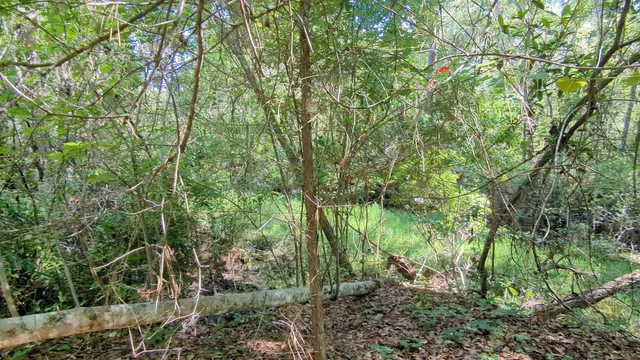 $33,000 | 104 Flora Terrace, Florahome, FL 32140