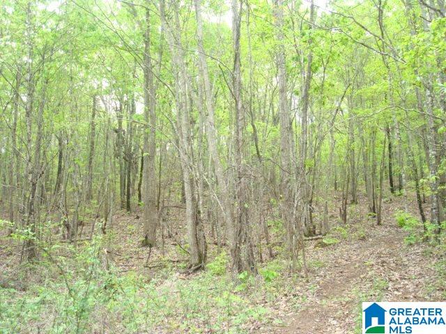 Kitchens Street, Unit 20 Anniston, AL 36201 - Photo 6 of 16