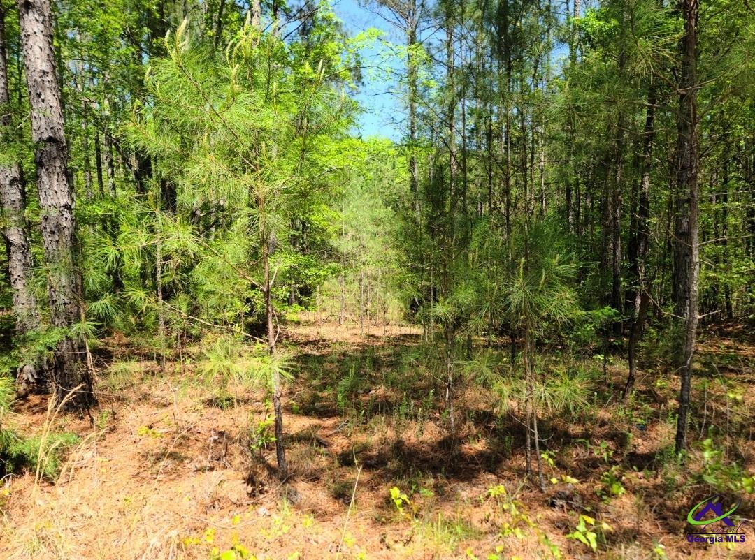 0 Sutton Road Forsyth, GA 31029 - Photo 1 of 2