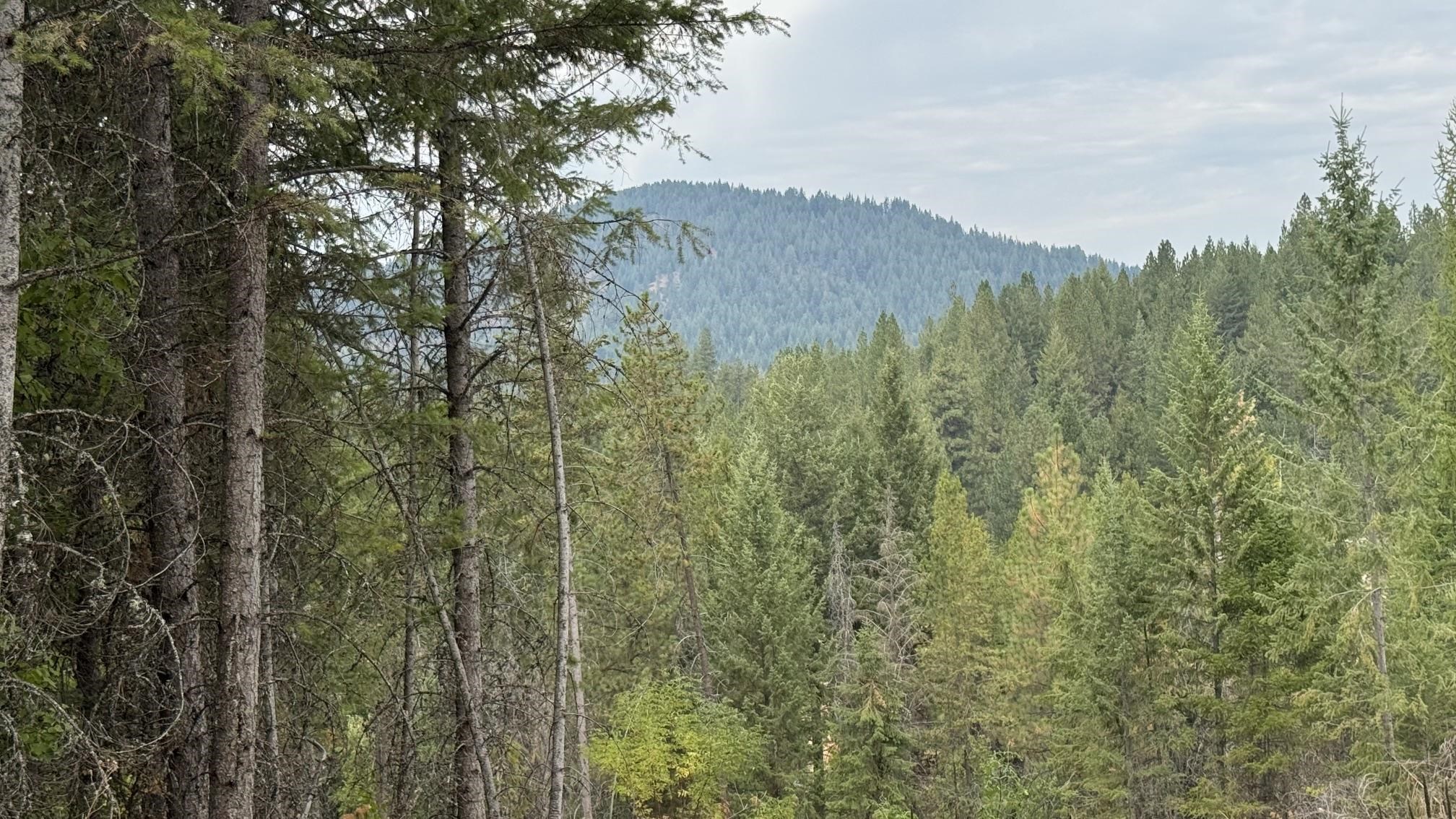 10313 Spring Valley Road Elk, WA 99009 - Photo 1 of 28 Gallery Image 1