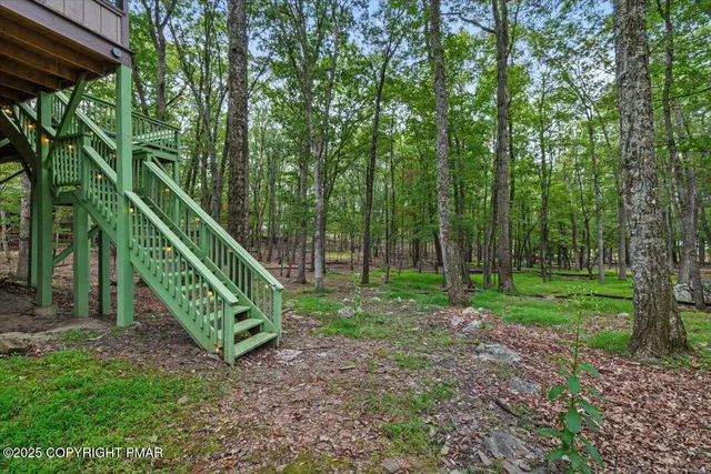 a view of a yard with plants