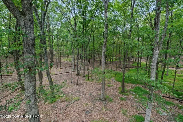 a view of a city with lush green forest