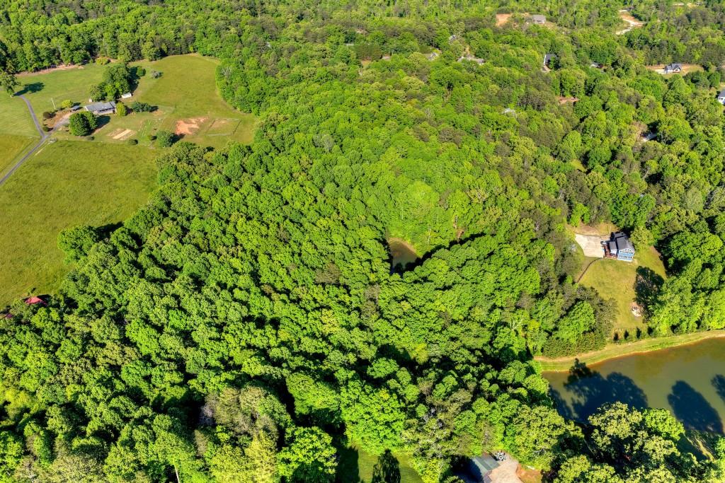 8.52 Ac Mcnelley Road Morganton, GA 30560 - Photo 47 of 47