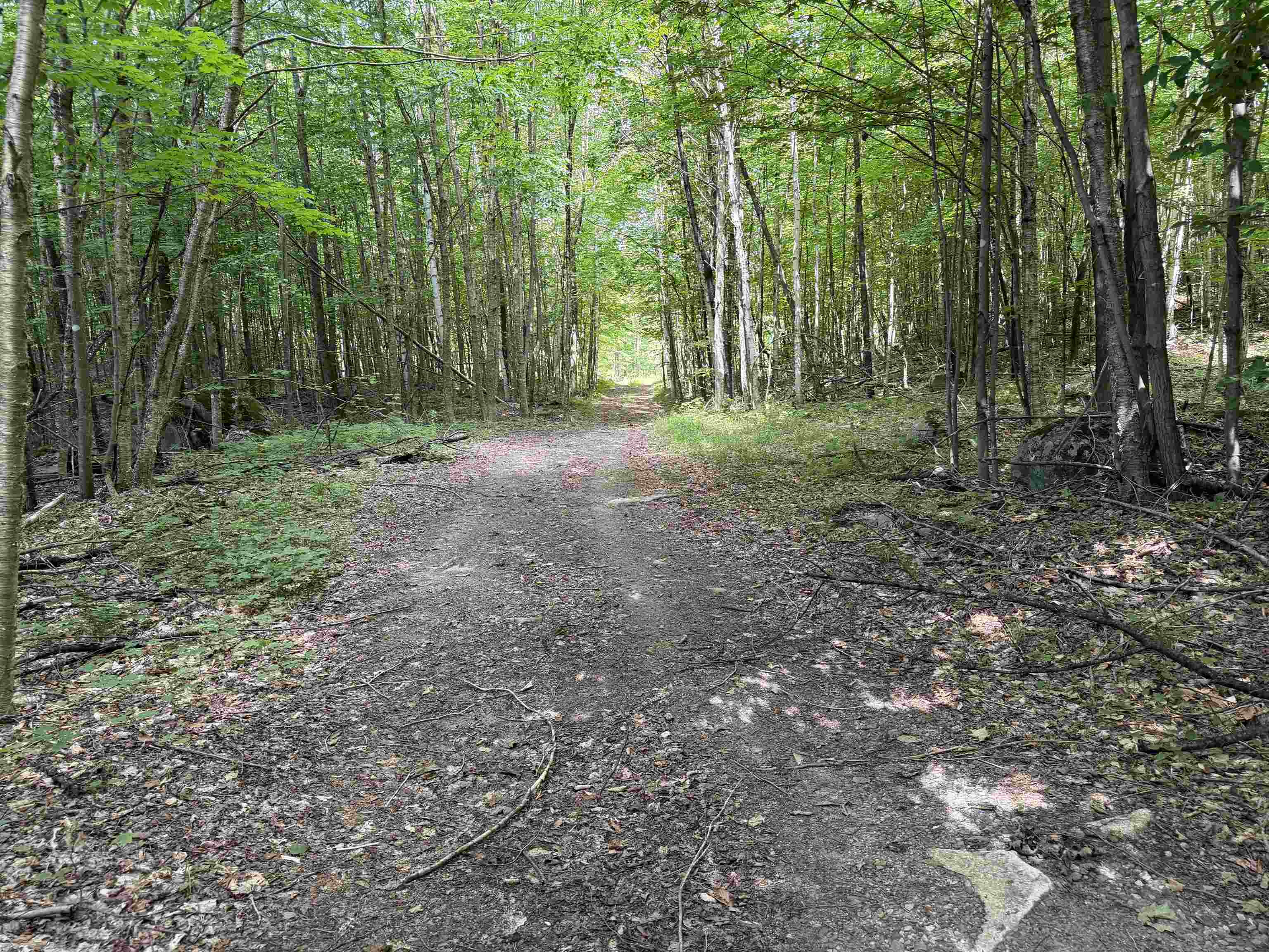 493 Wheeler Mountain Road Barton, VT 05822 - Photo 24 of 48