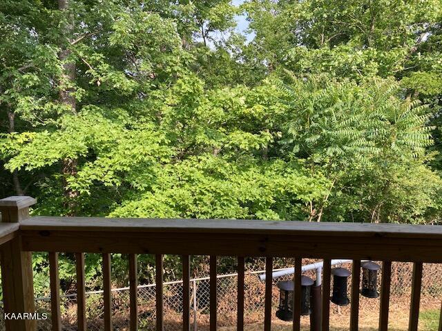 821 Commanche Drive Newport, TN 37821 - Photo 31 of 39 IMG_3735