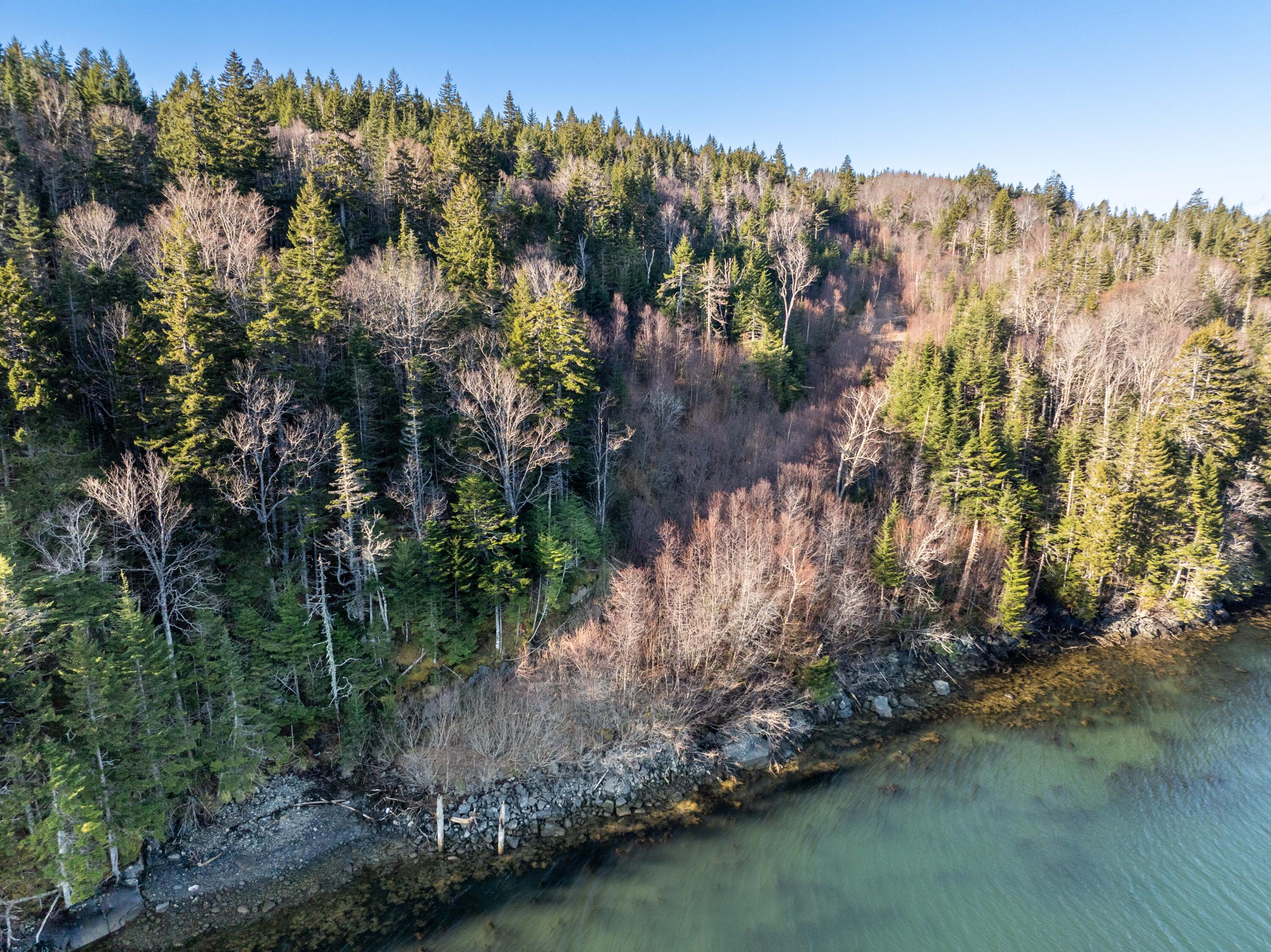 142 Destiny Bay Road Cutler, ME 04626 - Photo 11 of 30 3-19-24 Destiney Bay Rd. Lot in Cutler (