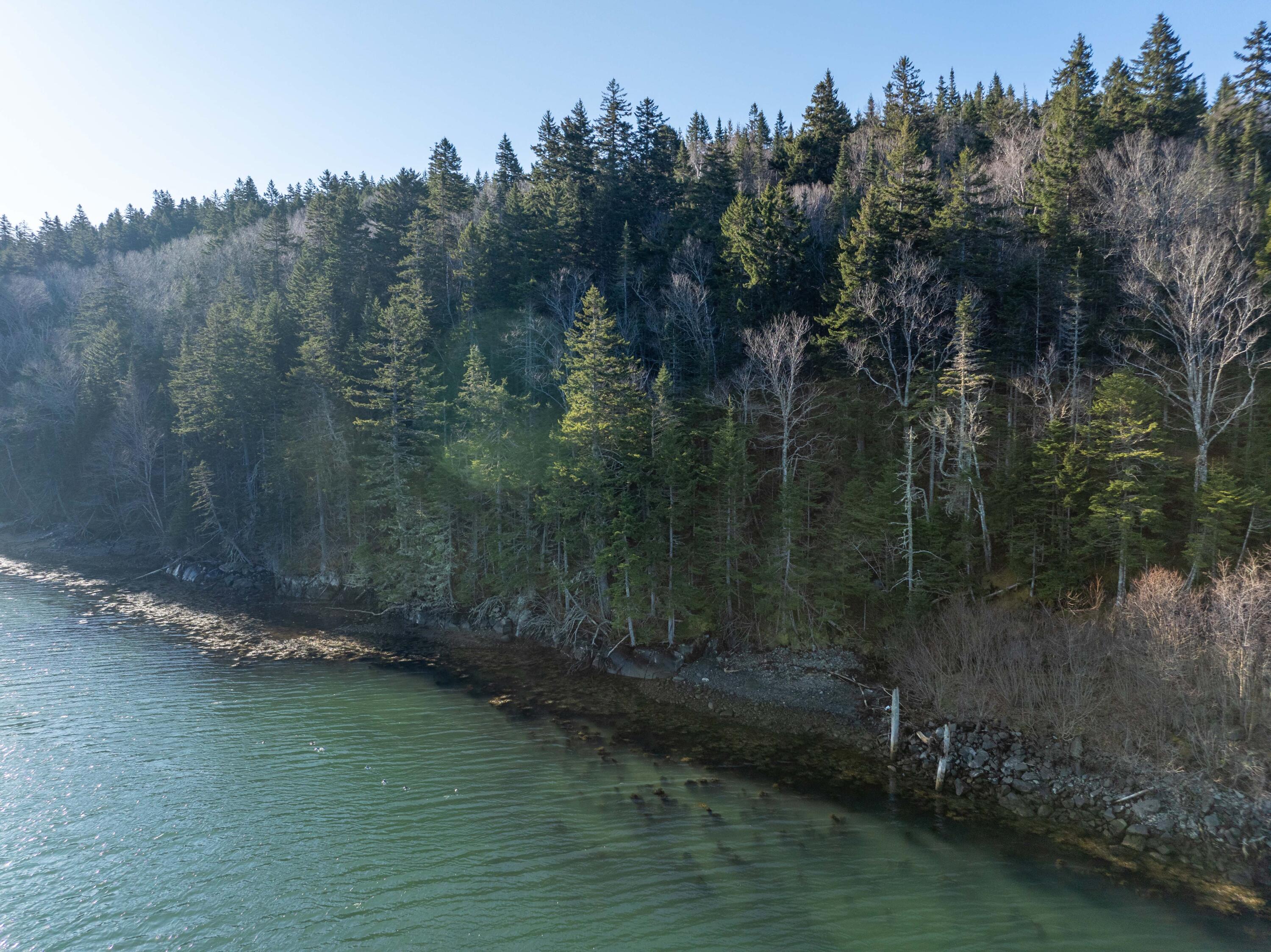 142 Destiny Bay Road Cutler, ME 04626 - Photo 12 of 30 3-19-24 Destiney Bay Rd. Lot in Cutler (