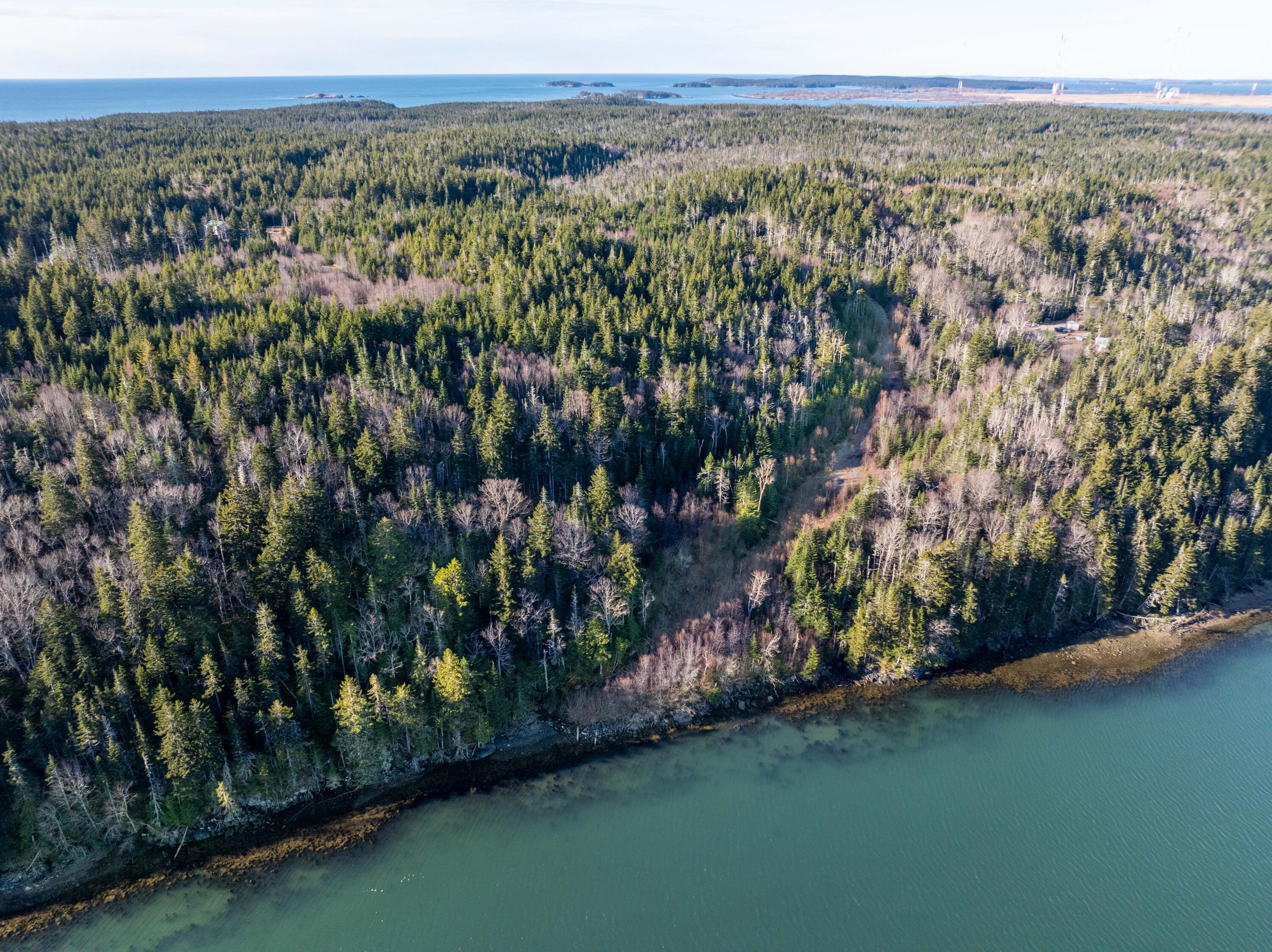 142 Destiny Bay Road Cutler, ME 04626 - Photo 13 of 30 3-19-24 Destiney Bay Rd. Lot in Cutler (
