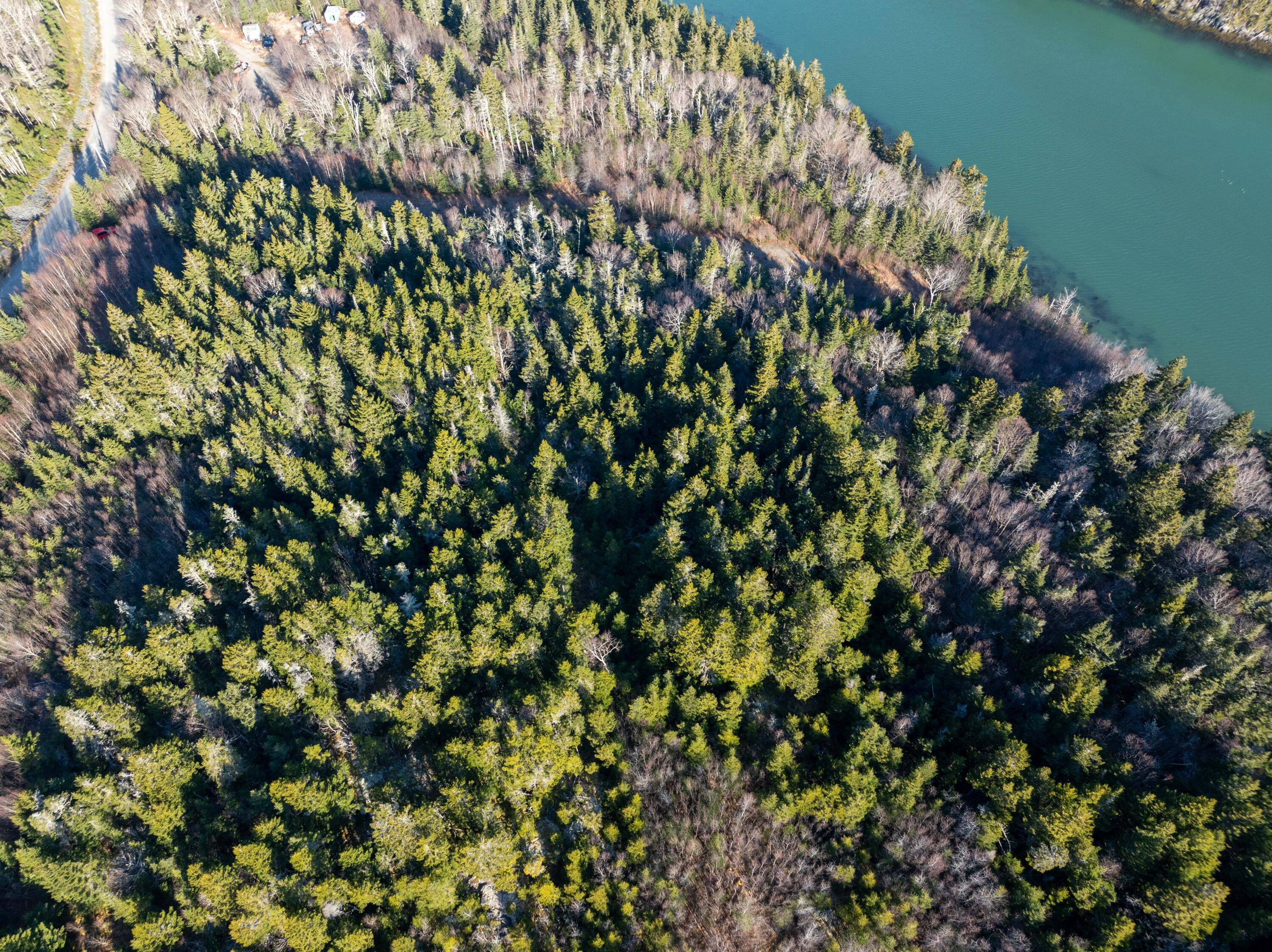 142 Destiny Bay Road Cutler, ME 04626 - Photo 21 of 30 3-19-24 Destiney Bay Rd. Lot in Cutler (