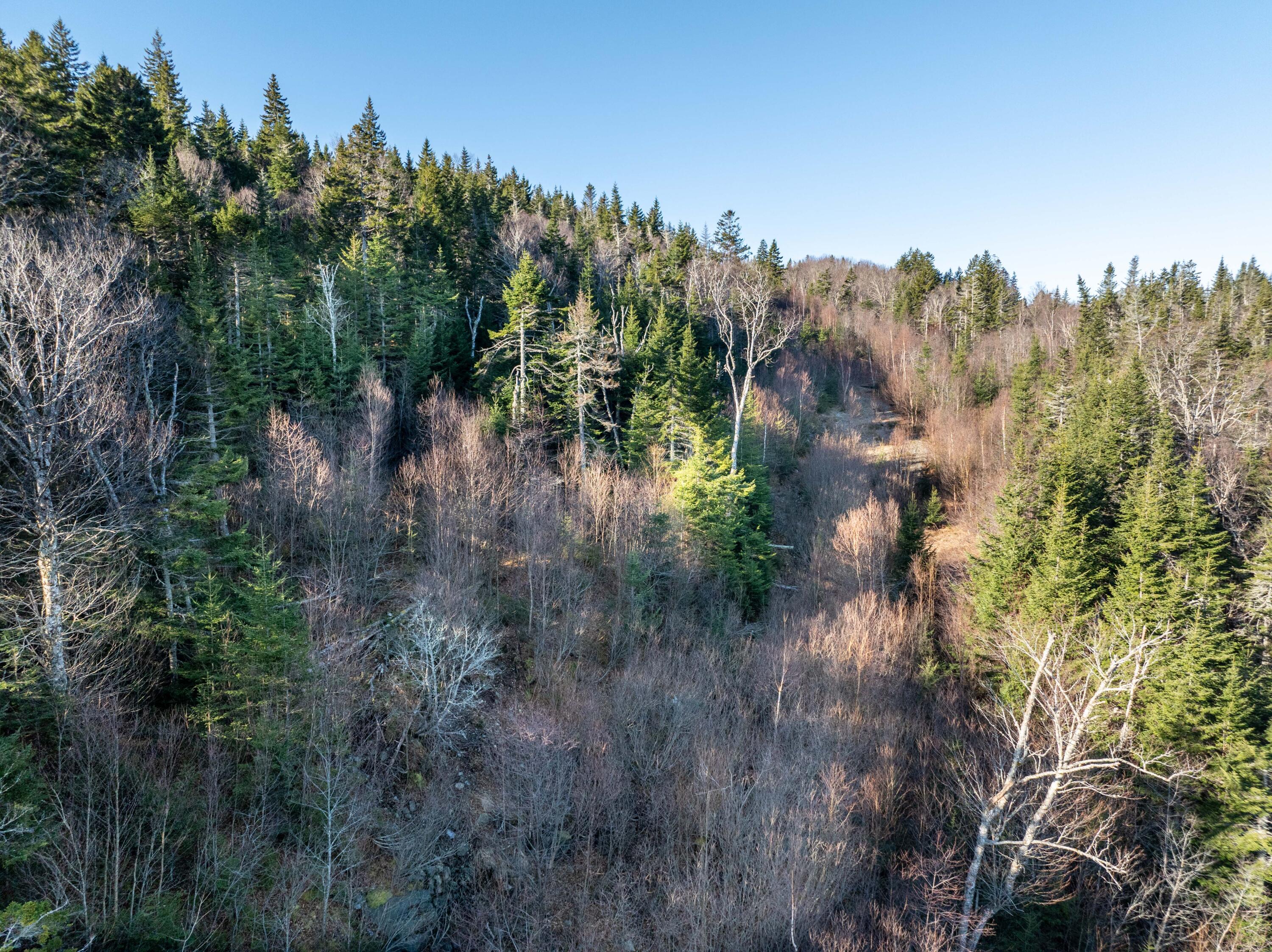 142 Destiny Bay Road Cutler, ME 04626 - Photo 28 of 30 3-19-24 Destiney Bay Rd. Lot in Cutler (