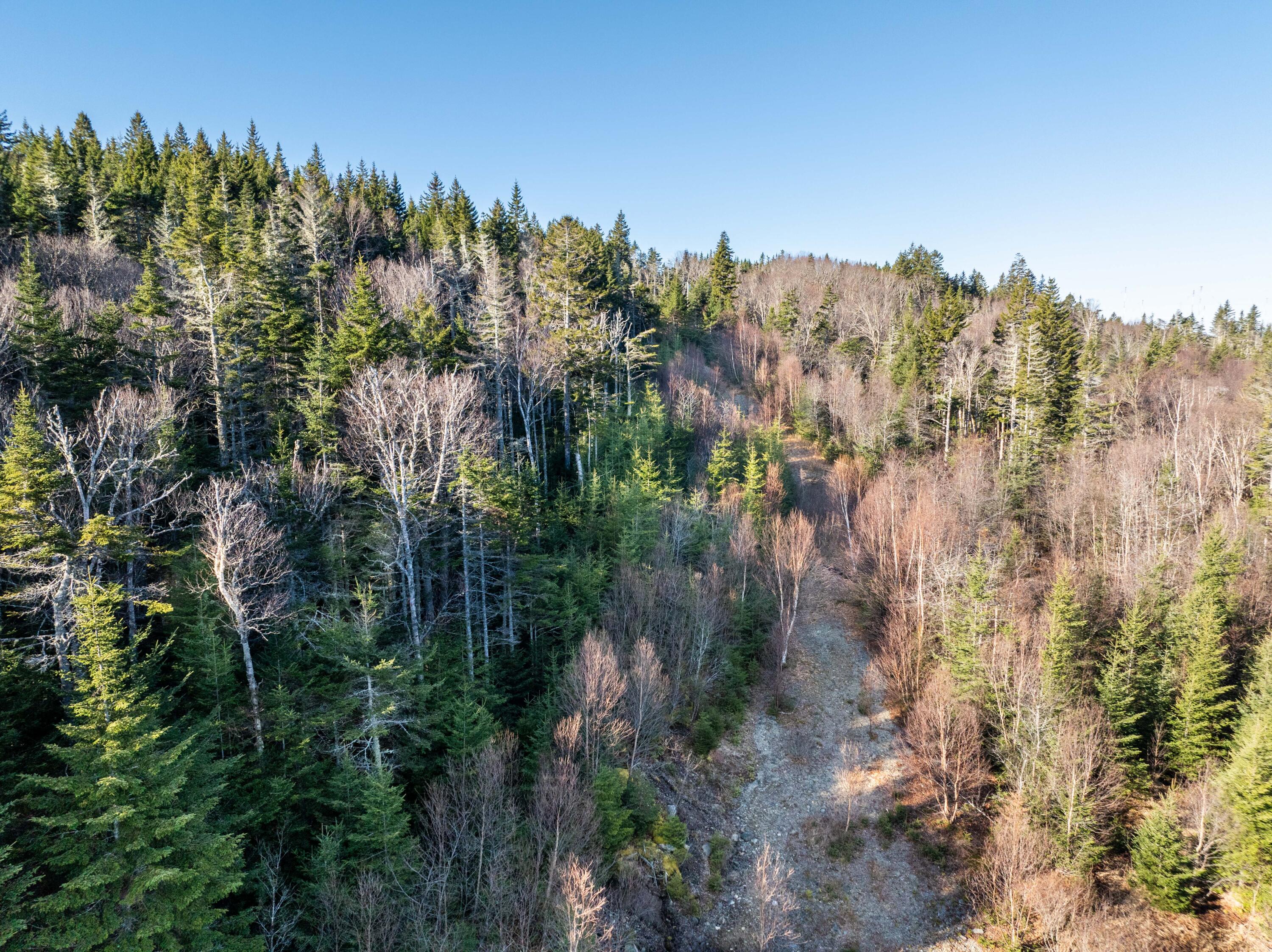 142 Destiny Bay Road Cutler, ME 04626 - Photo 29 of 30 3-19-24 Destiney Bay Rd. Lot in Cutler (