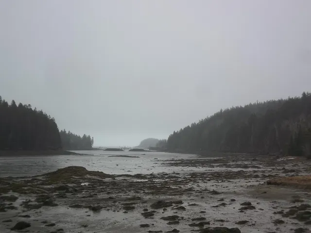 $120,000 | 142 Destiny Bay Road, Cutler, ME 04626