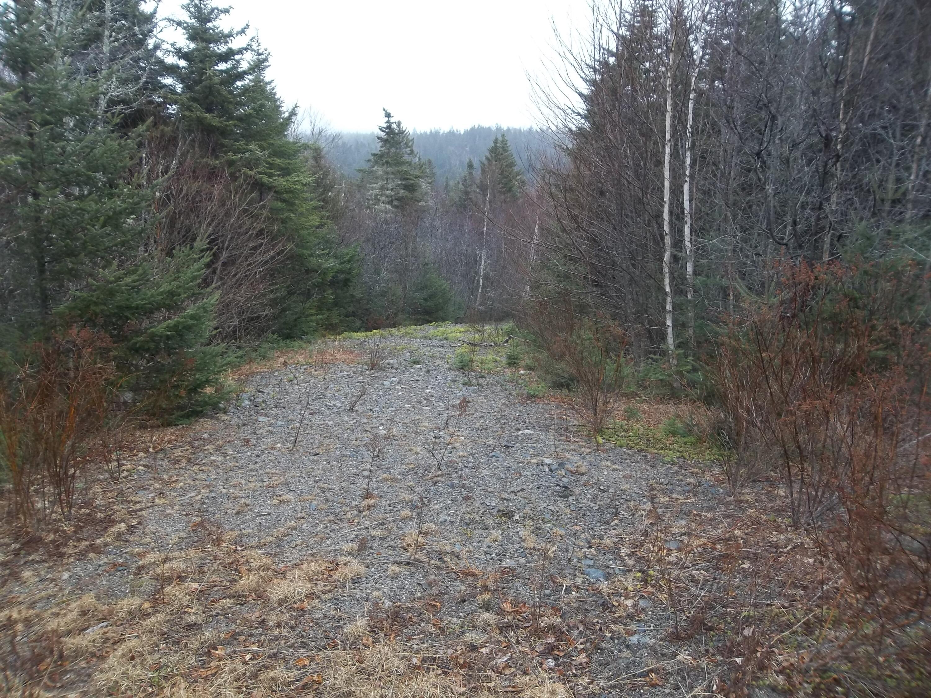 142 Destiny Bay Road Cutler, ME 04626 - Photo 4 of 30 100_1155