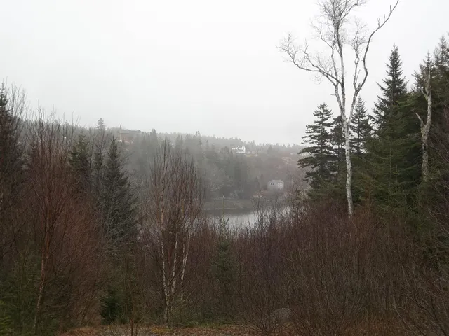 $120,000 | 142 Destiny Bay Road, Cutler, ME 04626