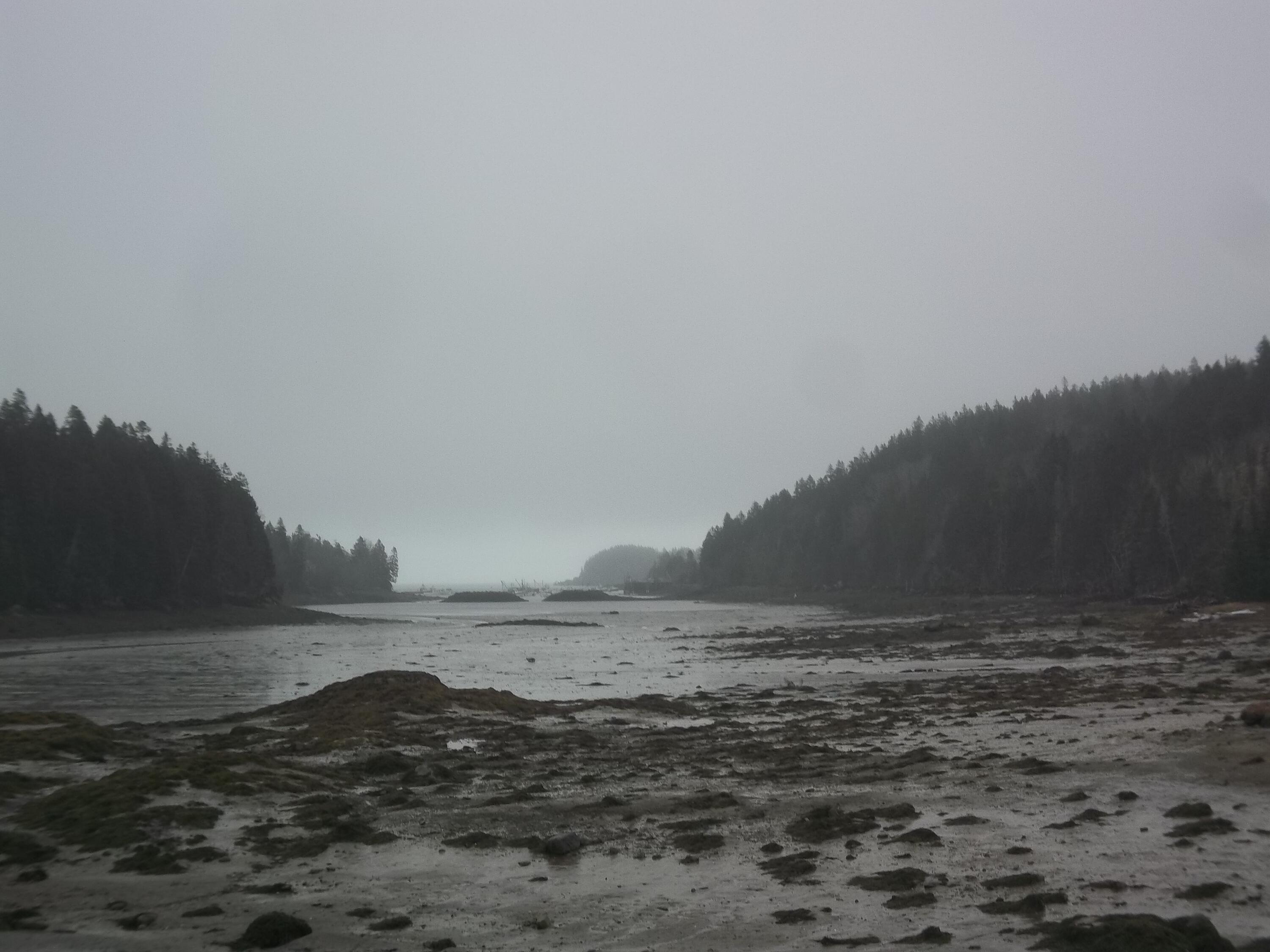 142 Destiny Bay Road Cutler, ME 04626 - Photo 9 of 30 100_1160