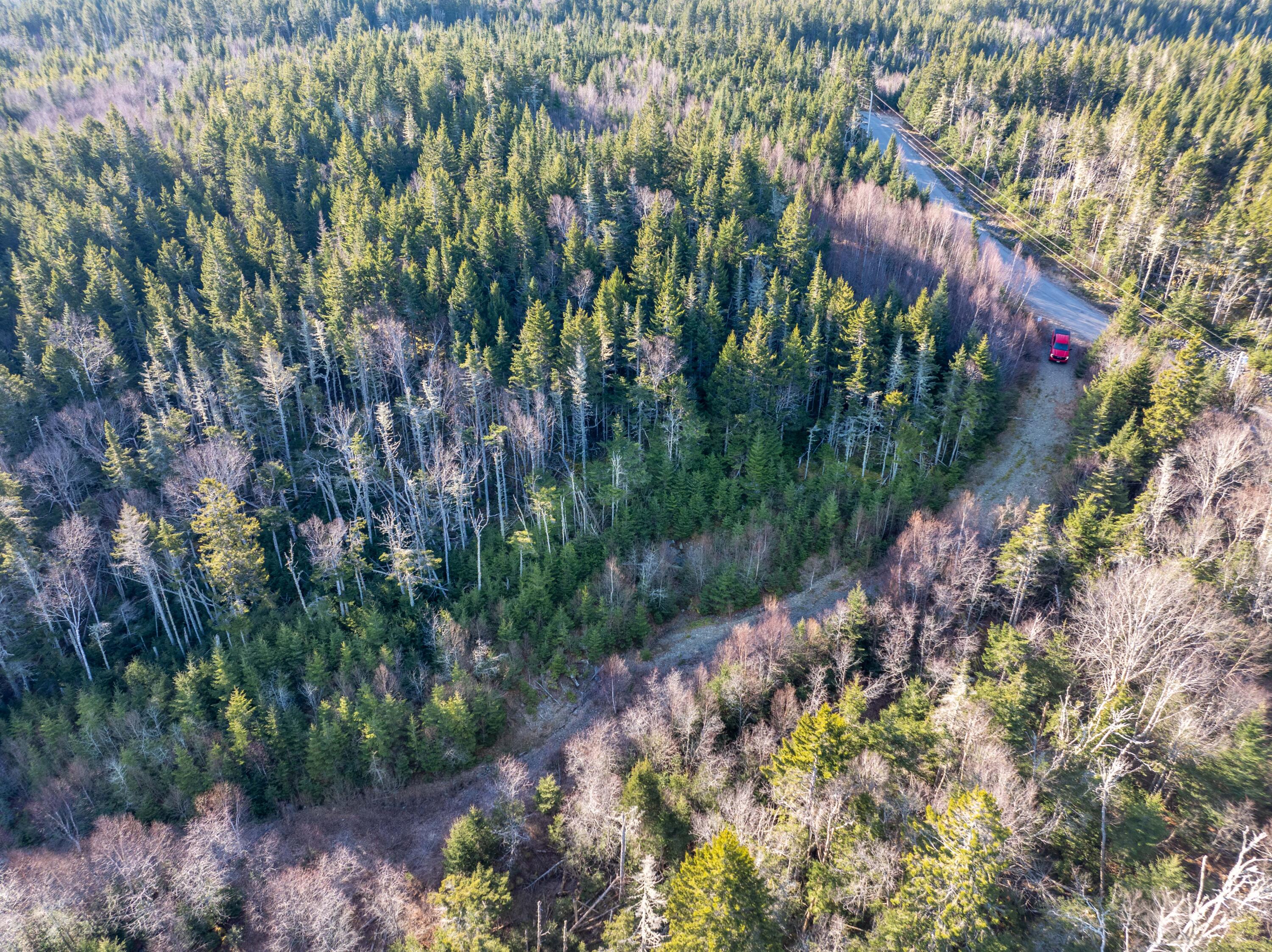 142 Destiny Bay Road Cutler, ME 04626 - Photo 10 of 30 3-19-24 Destiney Bay Rd. Lot in Cutler (