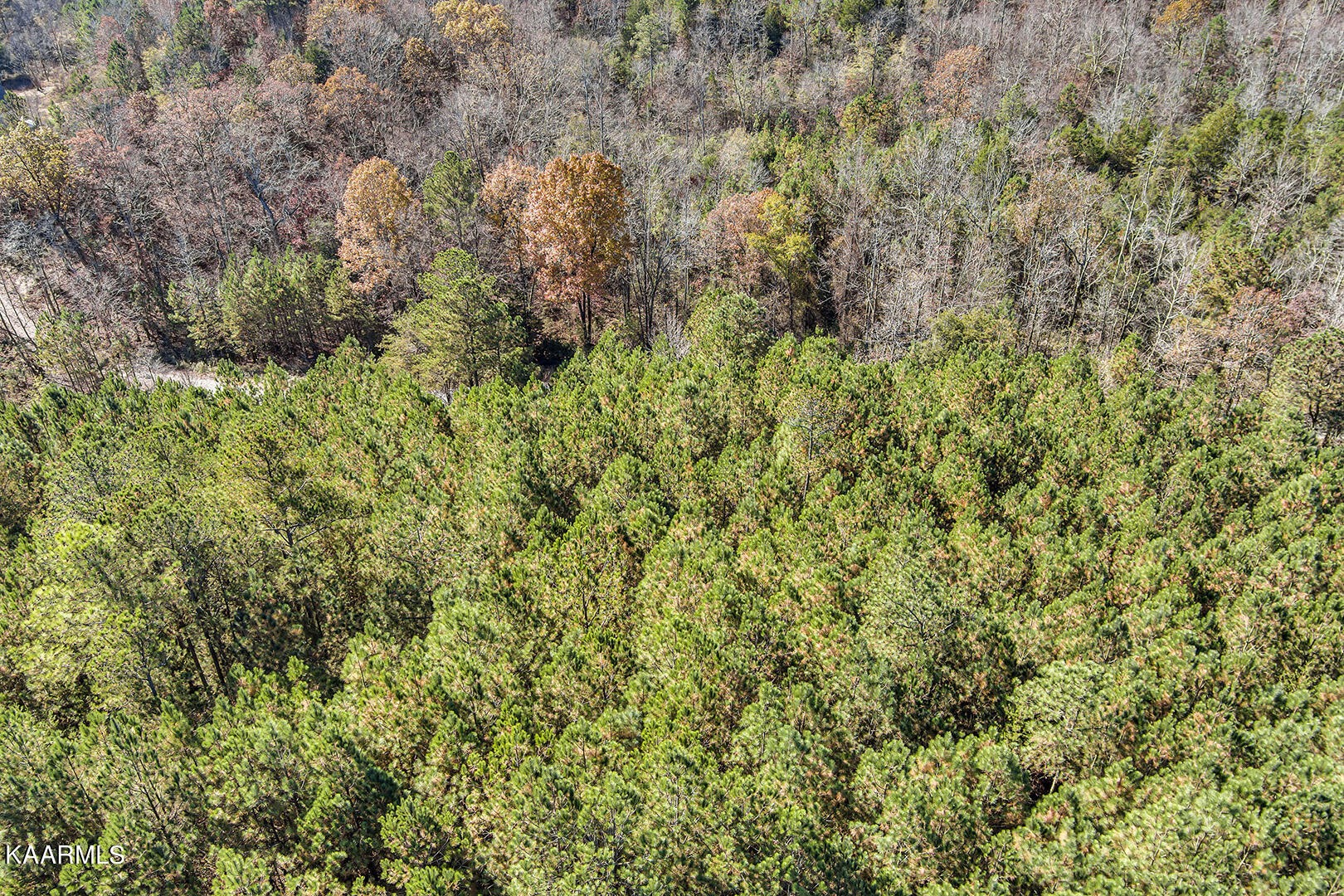 14531457 Sloans Gap Road Ocoee, TN 37361 - Photo 20 of 50