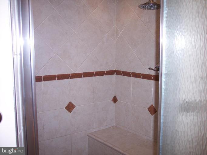 1311 Marchmont Court Reston, VA 20190 - Photo 19 of 30 Lower Level Master Bath Shower