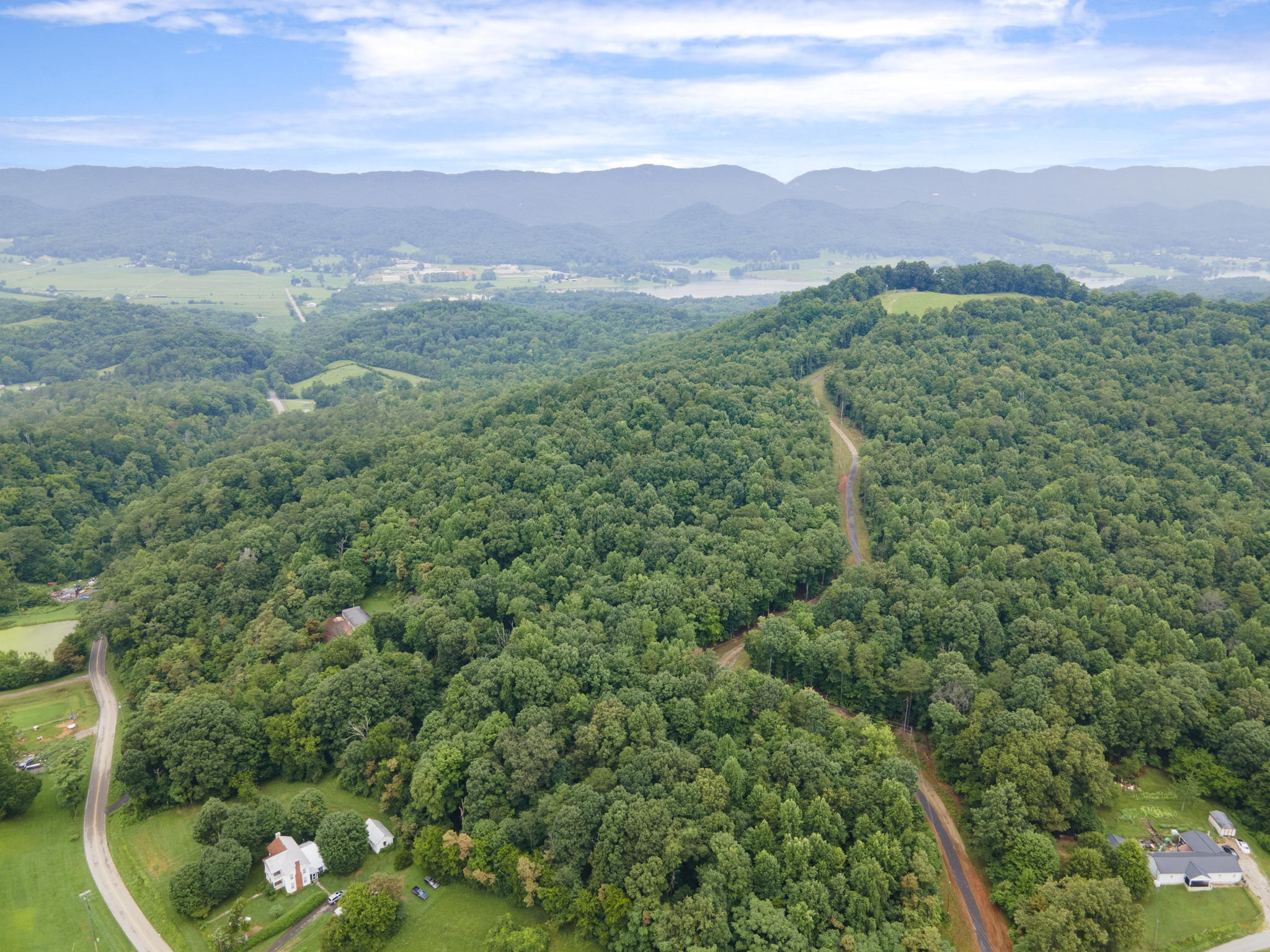 175 Hodge Road Bean Station, TN 37708 - Photo 3 of 10 4-web-or-mls-DJI_0145