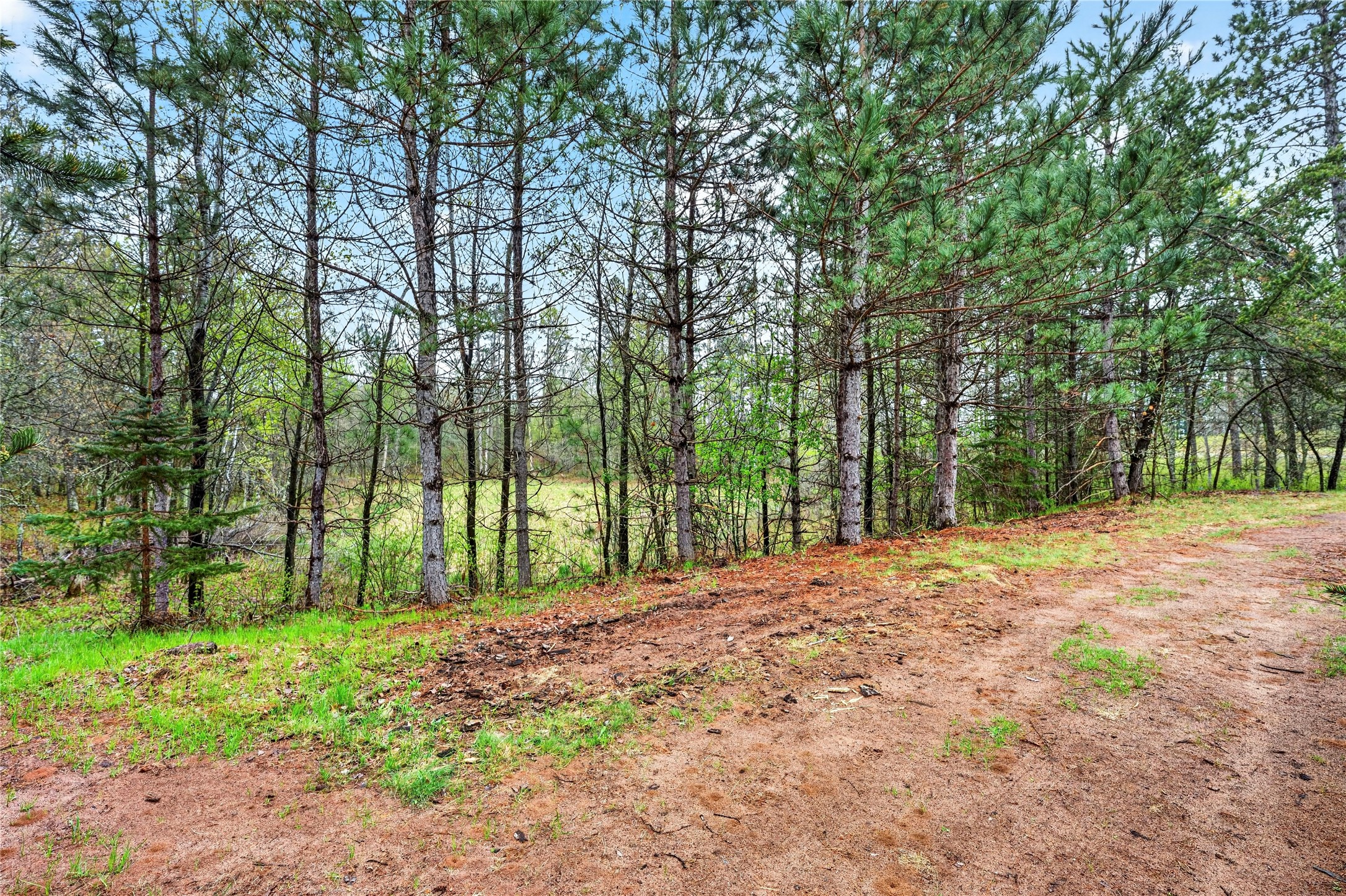 30176 Eagle Lake Road Danbury, WI 54830 - Photo 50 of 53