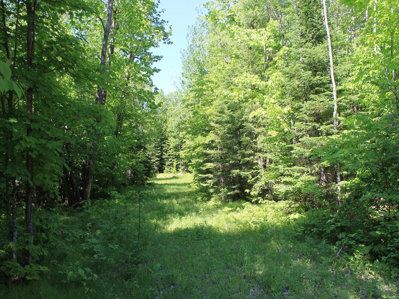 On Nathan Pass Mercer, WI 54547 - Photo 1 of 2 Gallery Image 1
