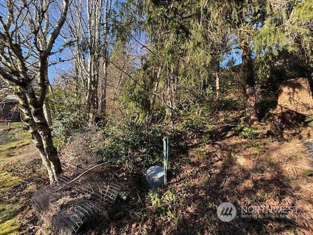 504 Ridgeway Drive Bellingham, WA 98225 - Photo 12 of 14 Gallery Image 12