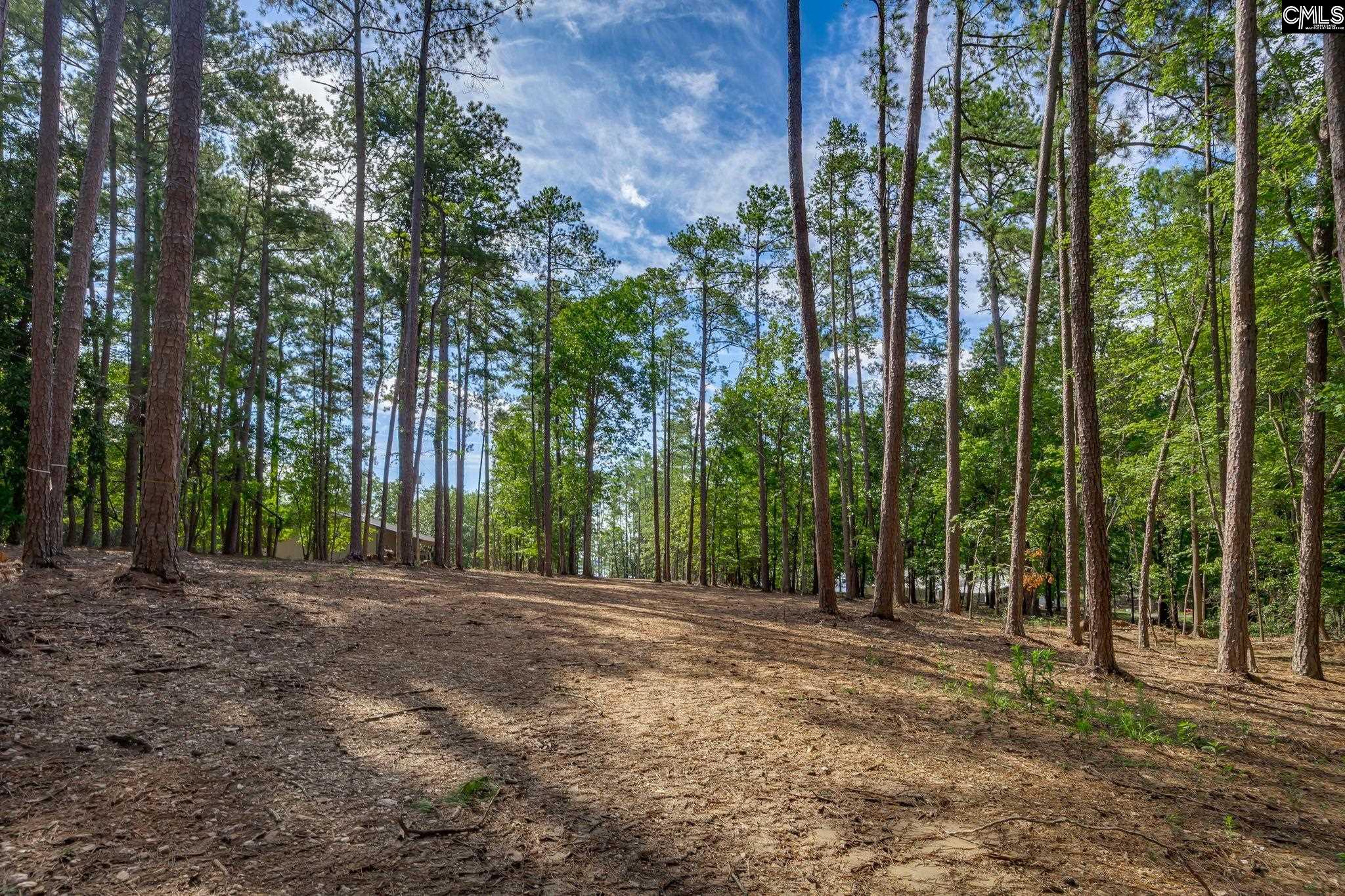 1148 Shull Island Road Gilbert, SC 29054 - Photo 13 of 20
