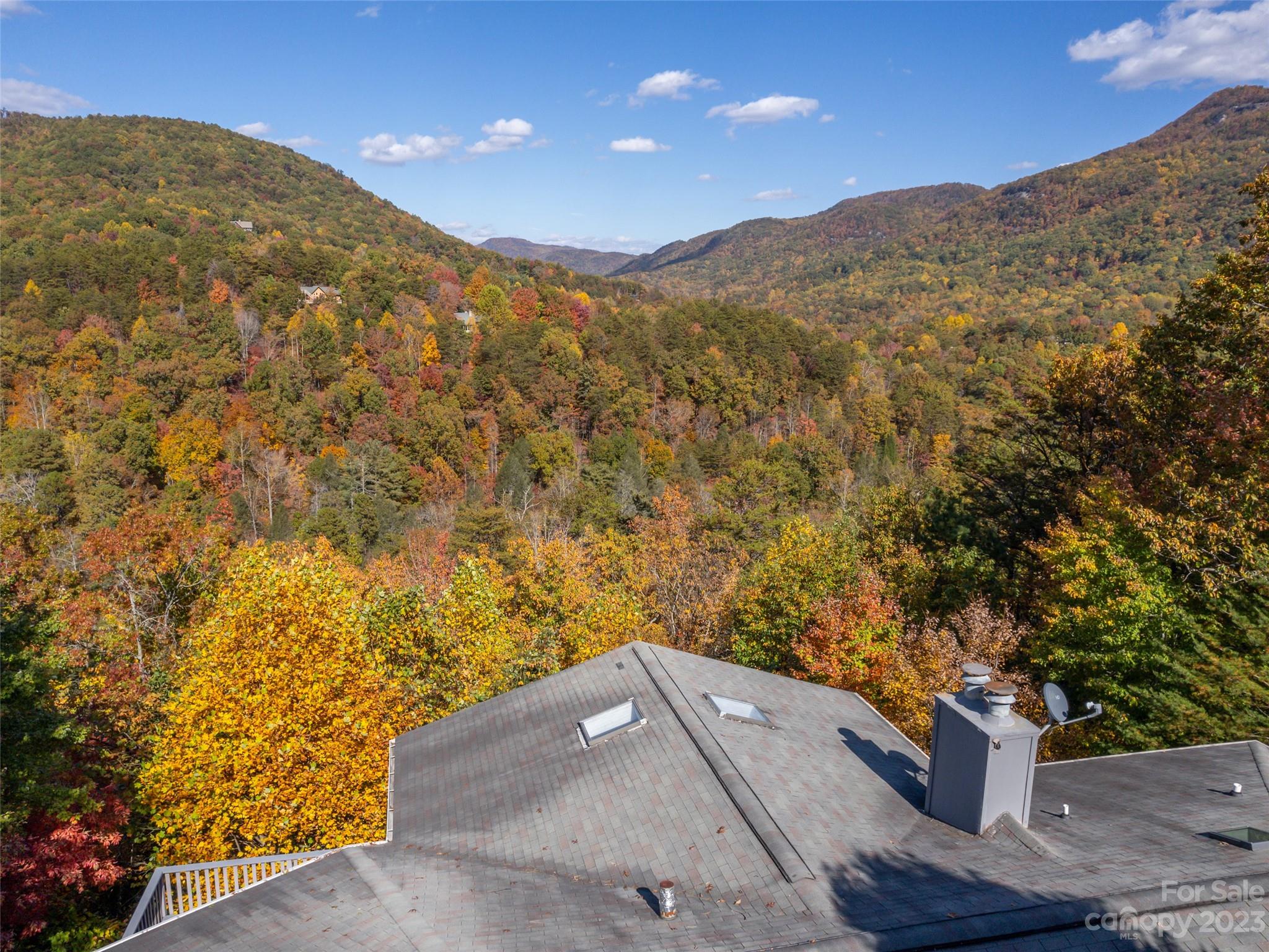 165 Ridgeway Road Lake Lure, NC 28746 - Photo 44 of 48 Gallery Image 44