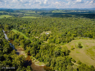 799 Bartley Road Rose Hill, VA 24281 - Photo 4 of 33 woods