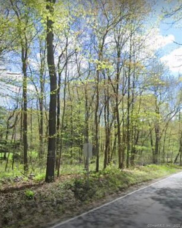 a view of a forest filled with trees