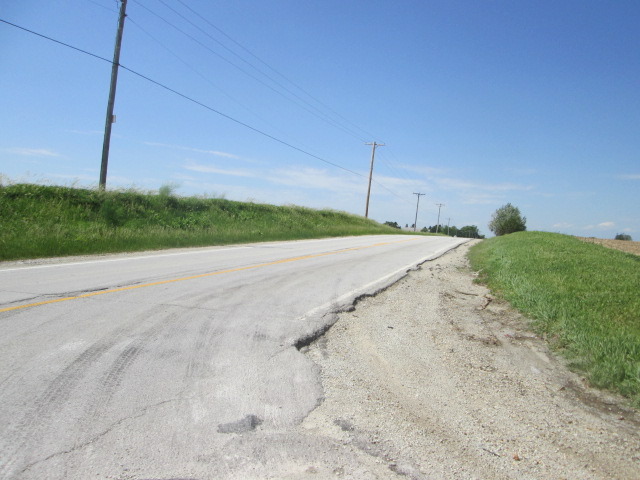 355 West Delite Inn Road Beecher, IL 60401 - Photo 4 of 10 a view of a road with a big yard