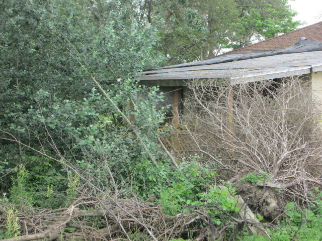 355 West Delite Inn Road Beecher, IL 60401 - Photo 9 of 10 a view of a pathway of a building with a tree