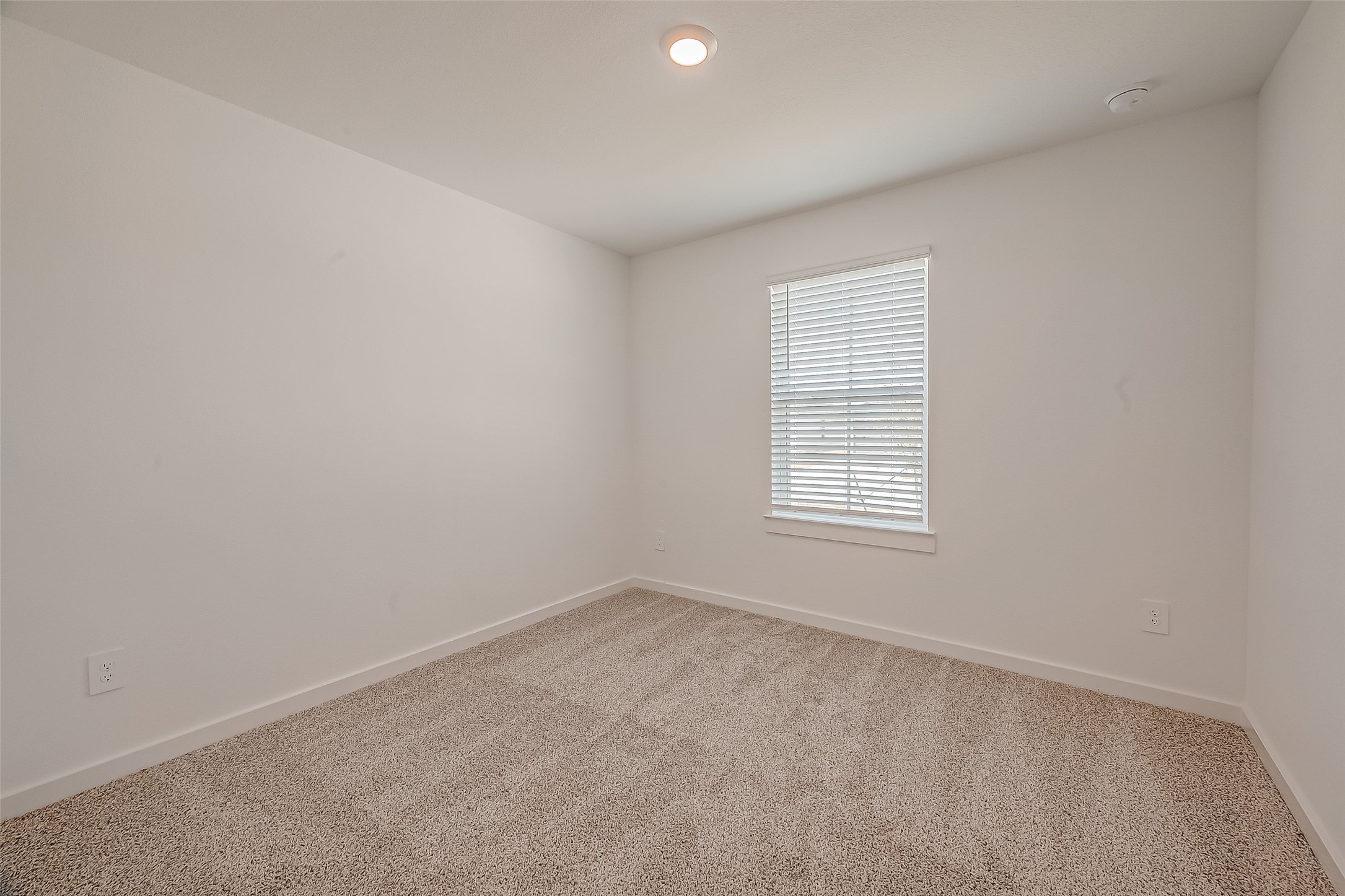 1018 Fringed Bluestar Drive Rosharon, TX 77583 - Photo 20 of 47