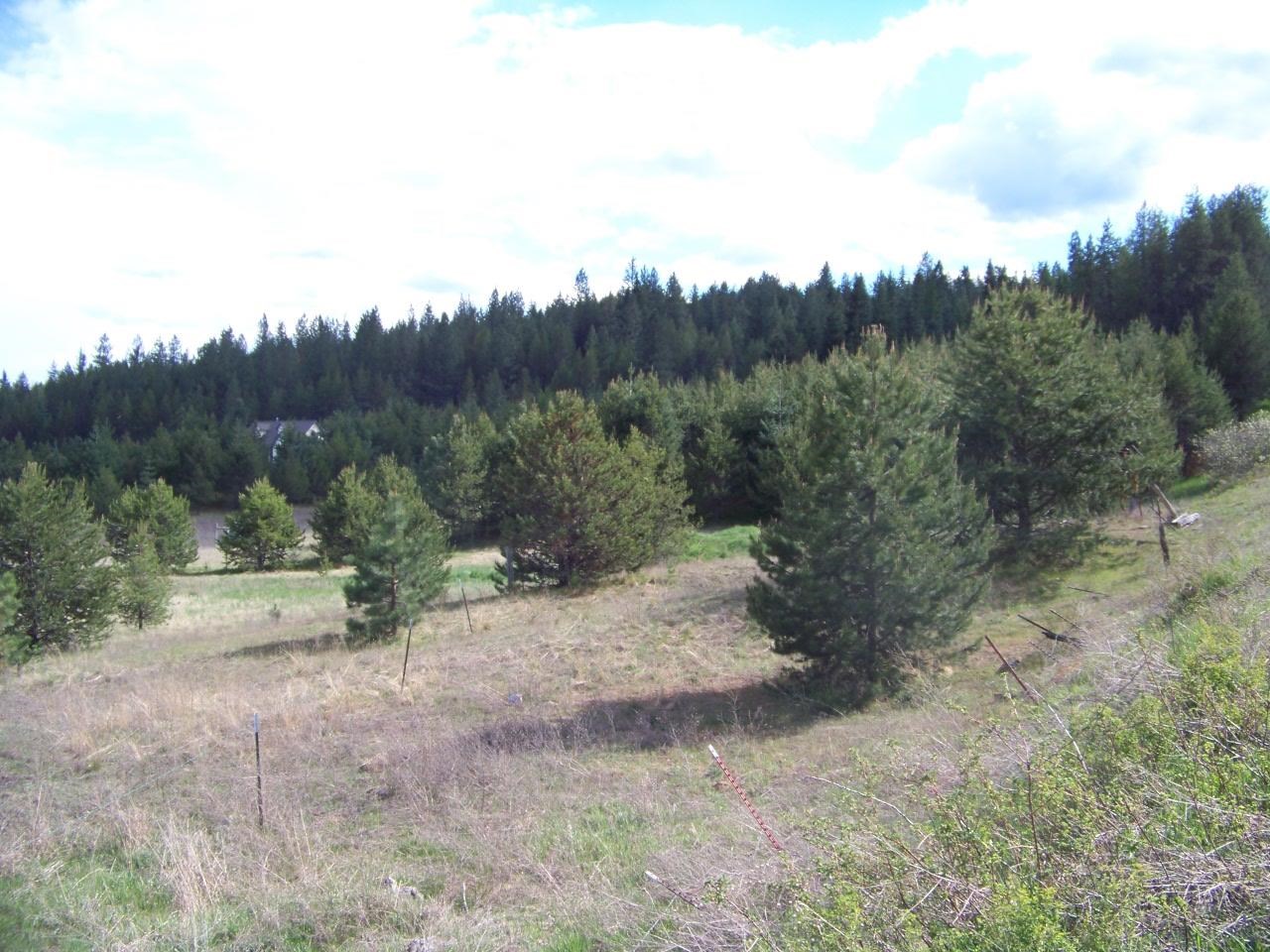 Nkn Lillijard Road Newport, WA 99156 - Photo 13 of 27 Gallery Image 13