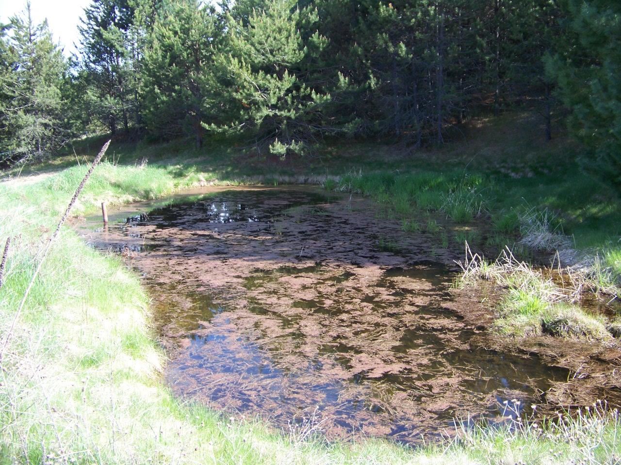 Nkn Lillijard Road Newport, WA 99156 - Photo 16 of 27 Gallery Image 16