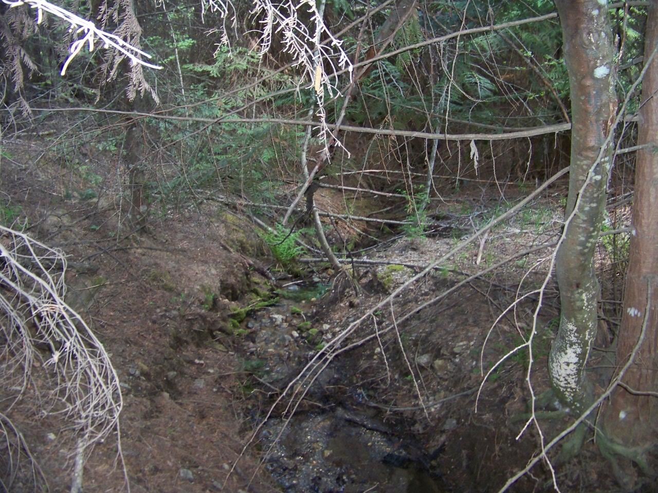Nkn Lillijard Road Newport, WA 99156 - Photo 18 of 27 Gallery Image 18