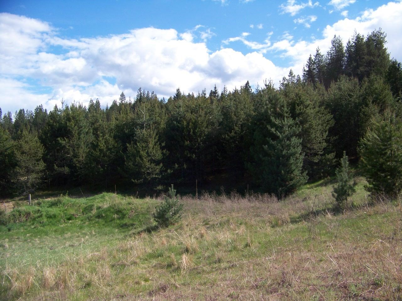 Nkn Lillijard Road Newport, WA 99156 - Photo 3 of 27 Gallery Image 3