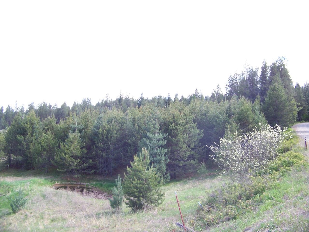 Nkn Lillijard Road Newport, WA 99156 - Photo 21 of 27 Gallery Image 21