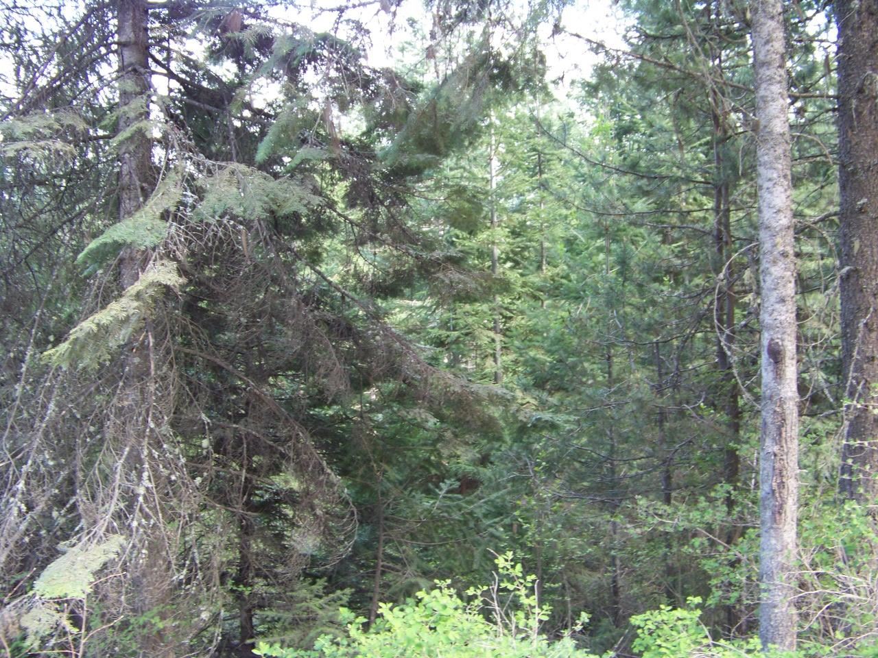 Nkn Lillijard Road Newport, WA 99156 - Photo 26 of 27 Gallery Image 26