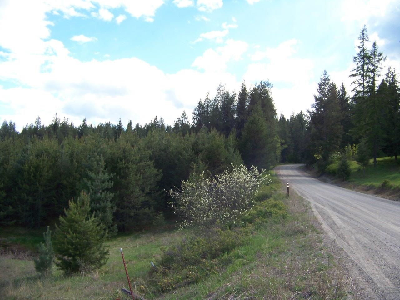 Nkn Lillijard Road Newport, WA 99156 - Photo 9 of 27 Gallery Image 9
