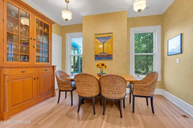 a view of a park with large trees