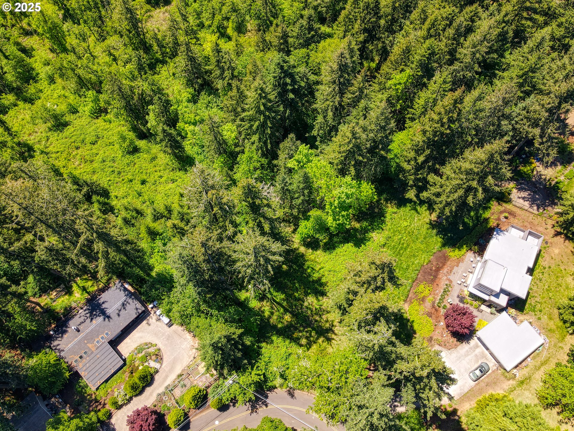 Douglas Drive Eugene, OR 97405 - Photo 11 of 13