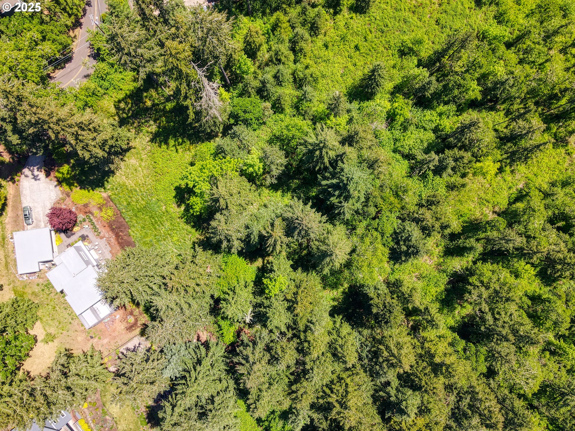 Douglas Drive Eugene, OR 97405 - Photo 12 of 13