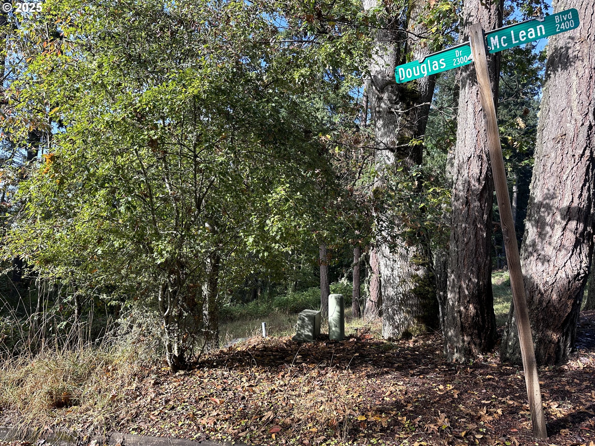 Douglas Drive Eugene, OR 97405 - Photo 3 of 13