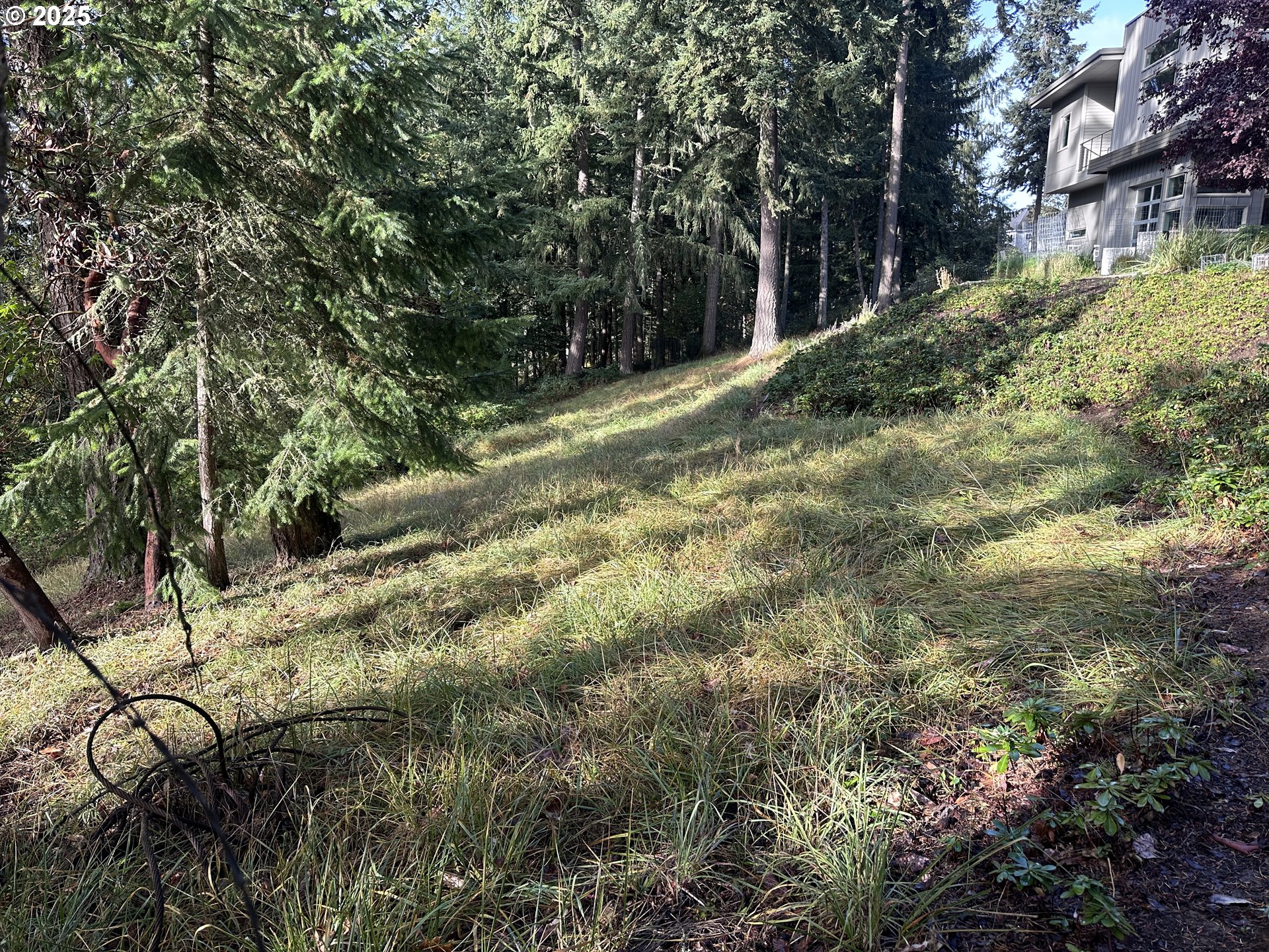 Douglas Drive Eugene, OR 97405 - Photo 4 of 13