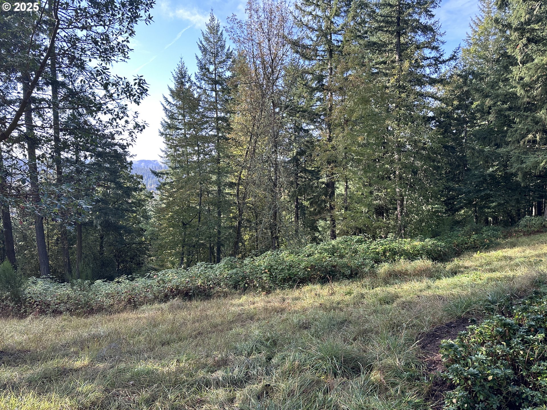 Douglas Drive Eugene, OR 97405 - Photo 5 of 13