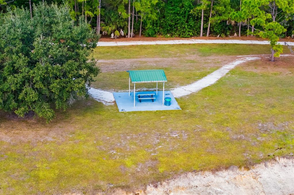 6226 Blueflower Court Lakewood Ranch, FL 34202 - Photo 66 of 81 a view of a swimming pool with an outdoor space