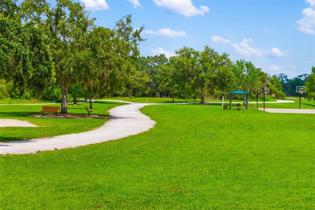 6226 Blueflower Court Lakewood Ranch, FL 34202 - Photo 80 of 81