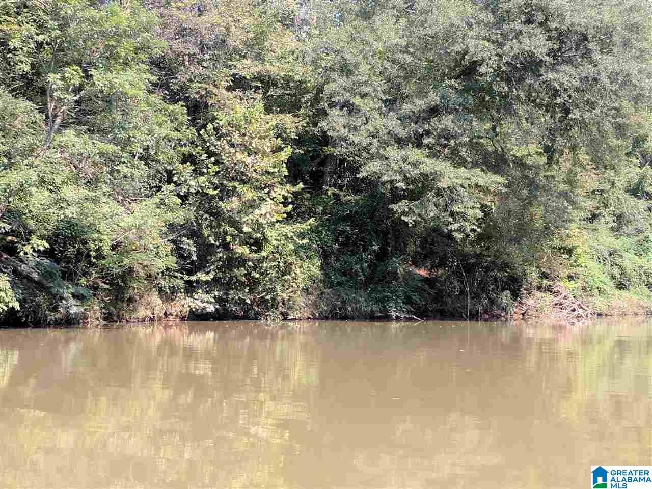 4917 Palos Road Dora, AL 35062 - Photo 1 of 2